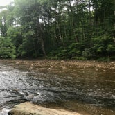 Review photo of Cranberry River Sites NF Campground by Heather L., July 27, 2018