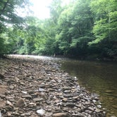 Review photo of Cranberry River Sites NF Campground by Heather L., July 27, 2018
