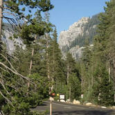 Review photo of Lodgepole Campground — Sequoia National Park by Stacie H., July 27, 2018