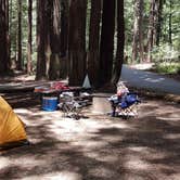 Review photo of Burlington Campground — Humboldt Redwoods State Park by Joseph L., June 19, 2015