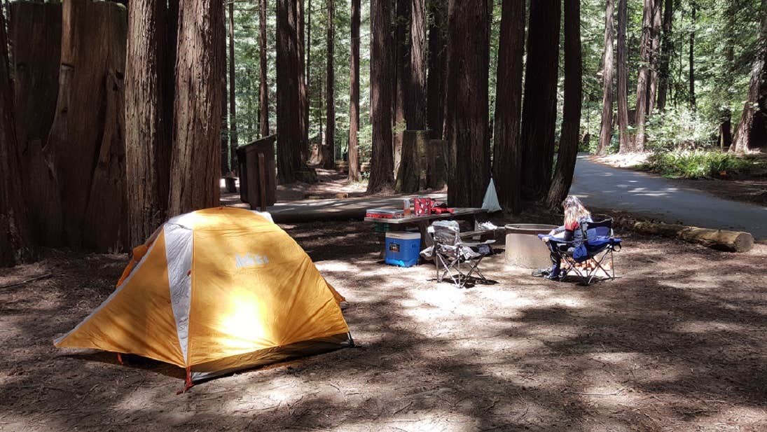 Camper submitted image from Burlington Campground — Humboldt Redwoods State Park - 5