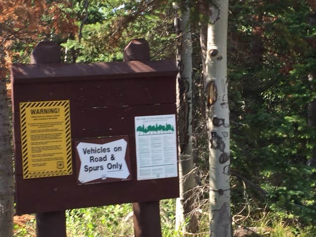 Camper submitted image from Bow River - 2