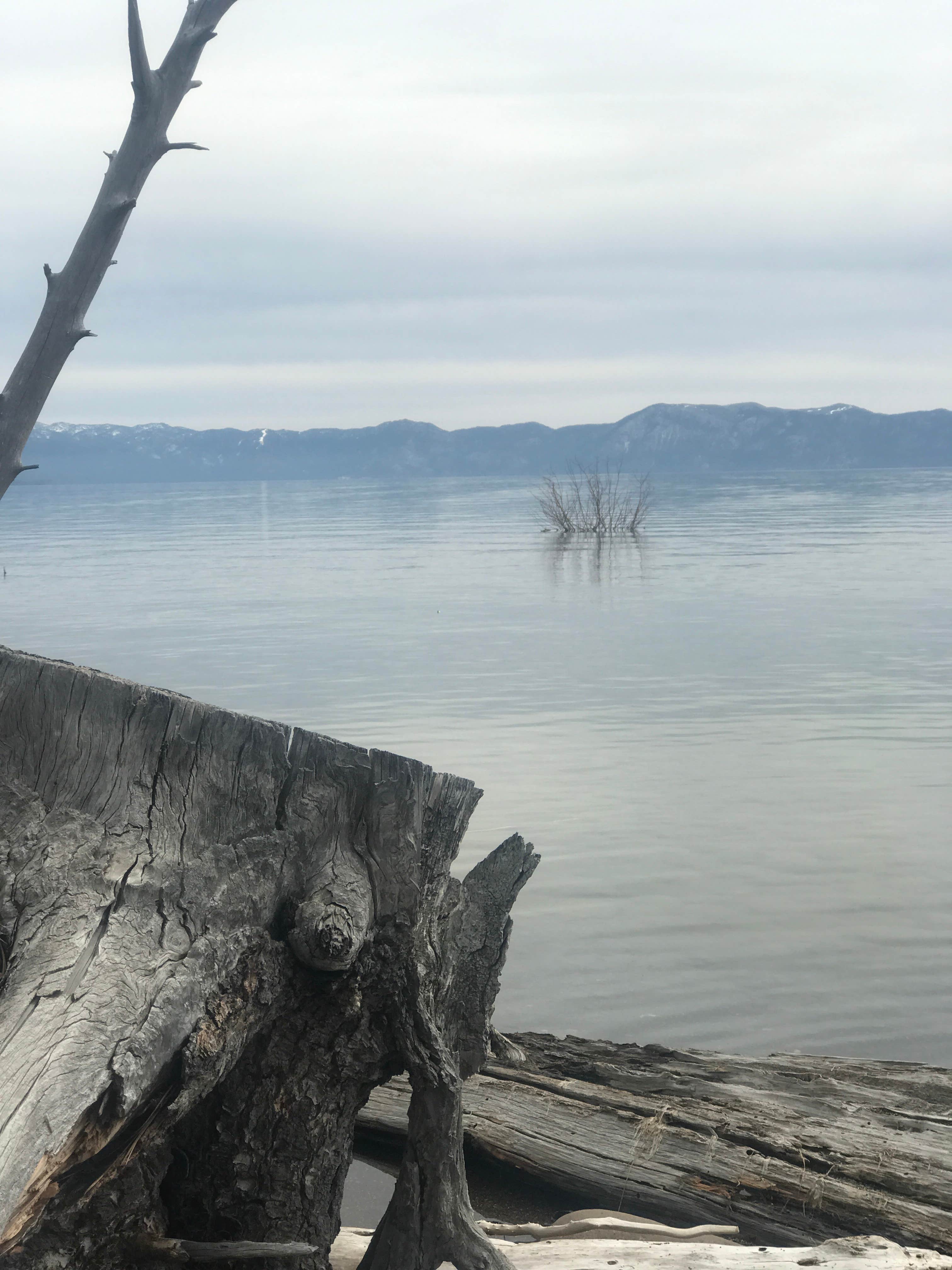 Camper-submitted photo at Developed 7 — Lahontan State Recreation Area near Reno, NV