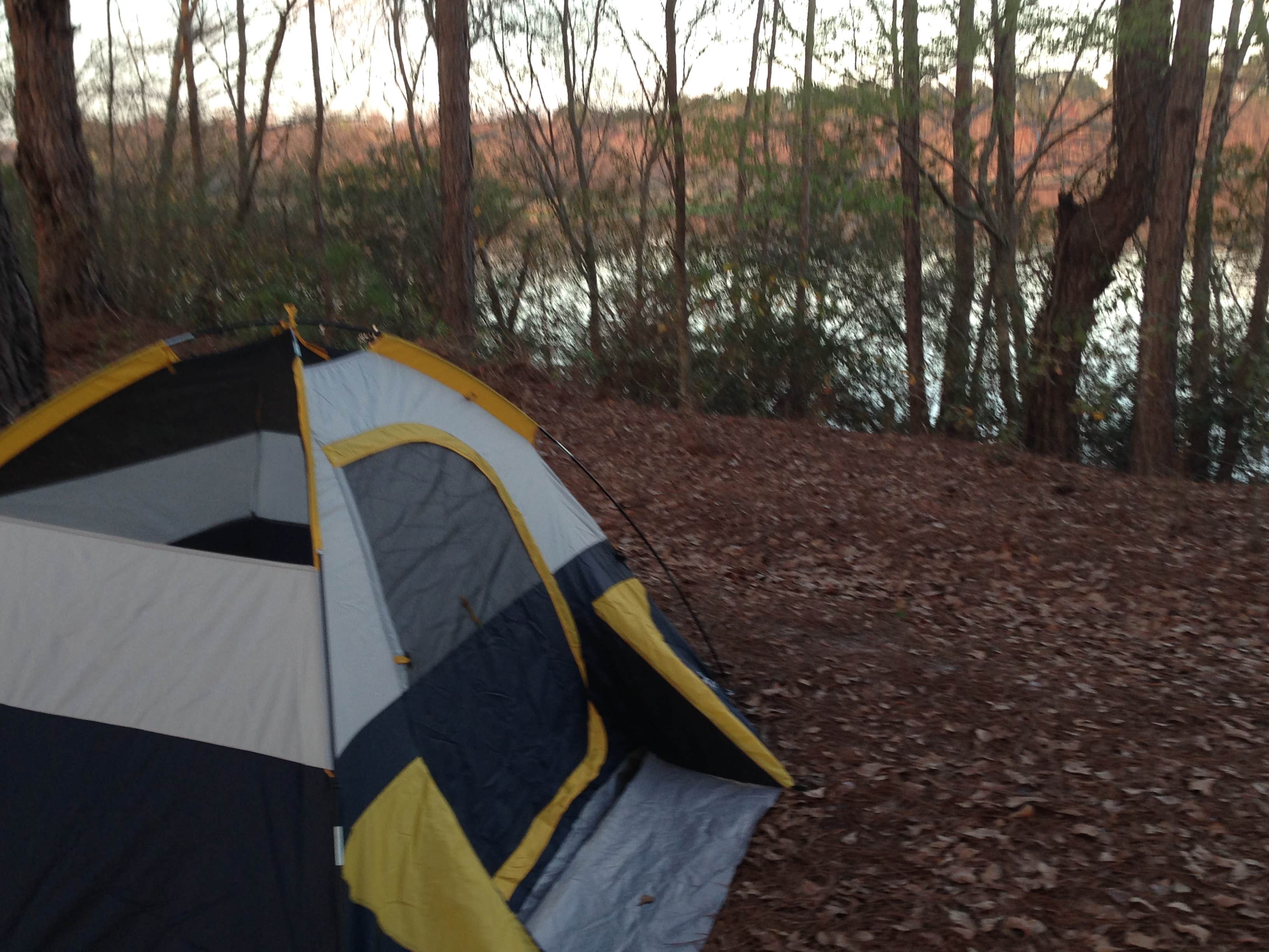 Kayla B.'s photo at Reed Bingham State Park Campground near Albany, GA