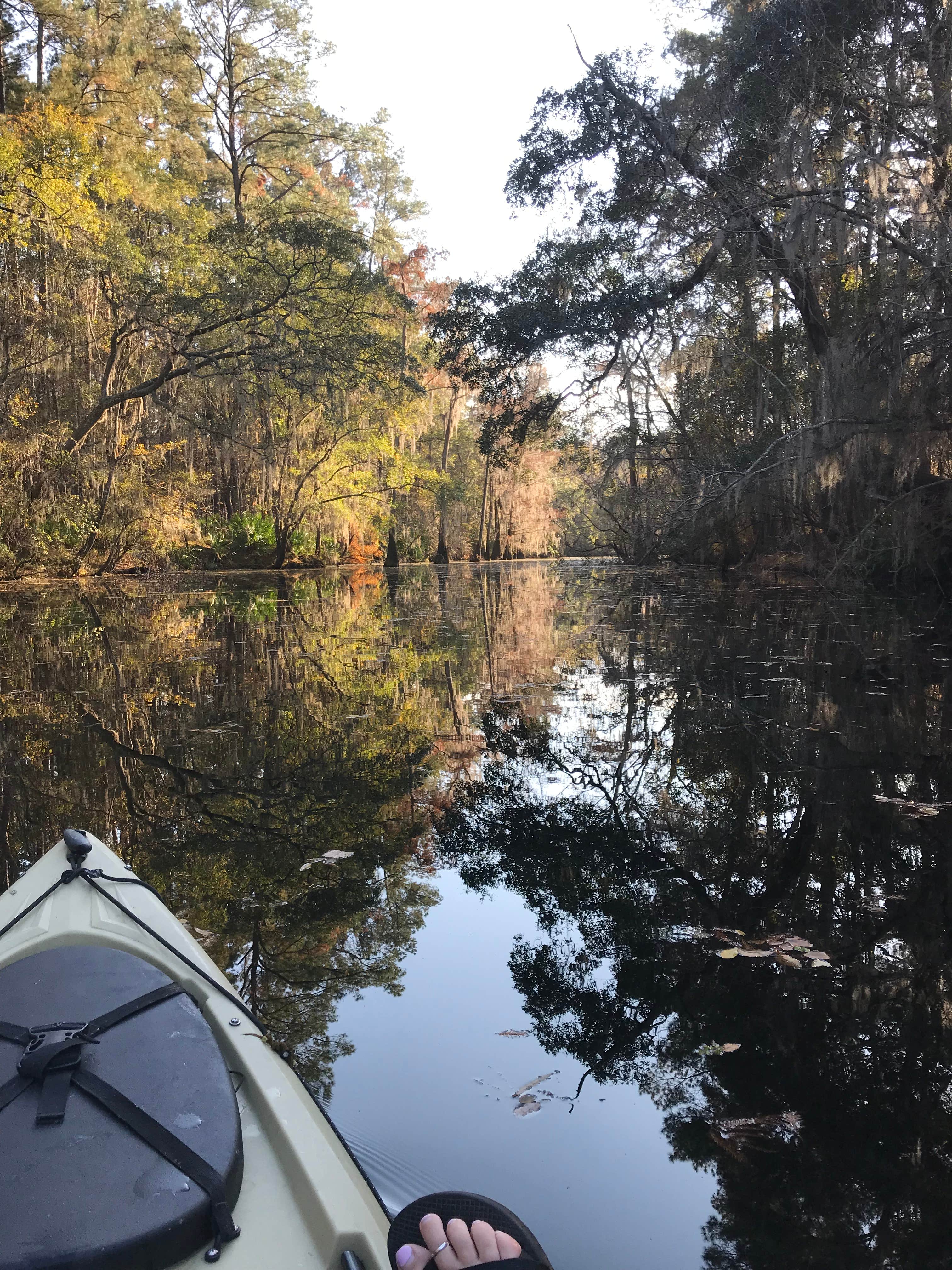 Camper-submitted photo at Reed Bingham State Park Campground near Cairo, GA