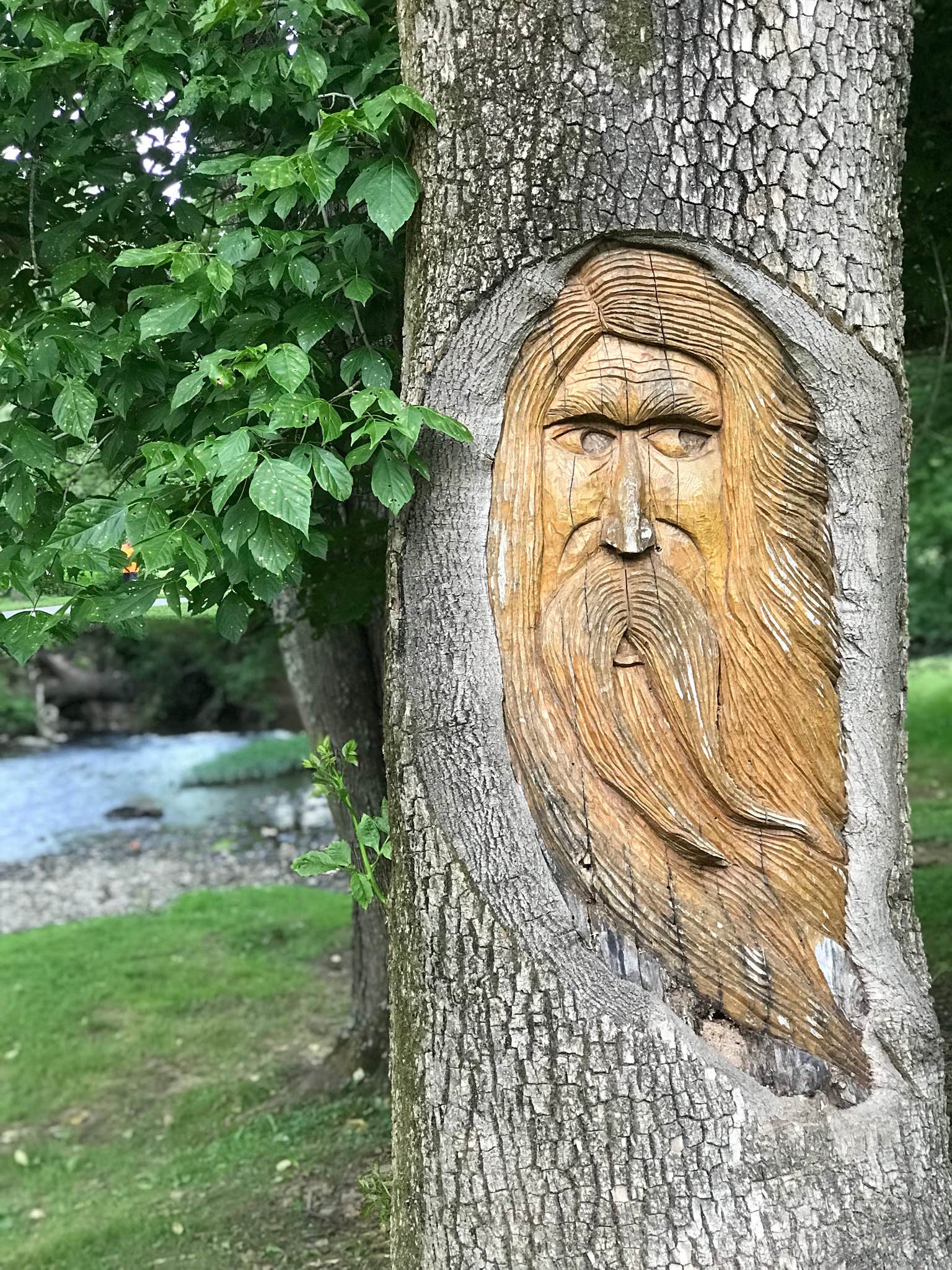 Camper-submitted photo at Jessie Lea RV Park and Campground near Whitesburg, KY