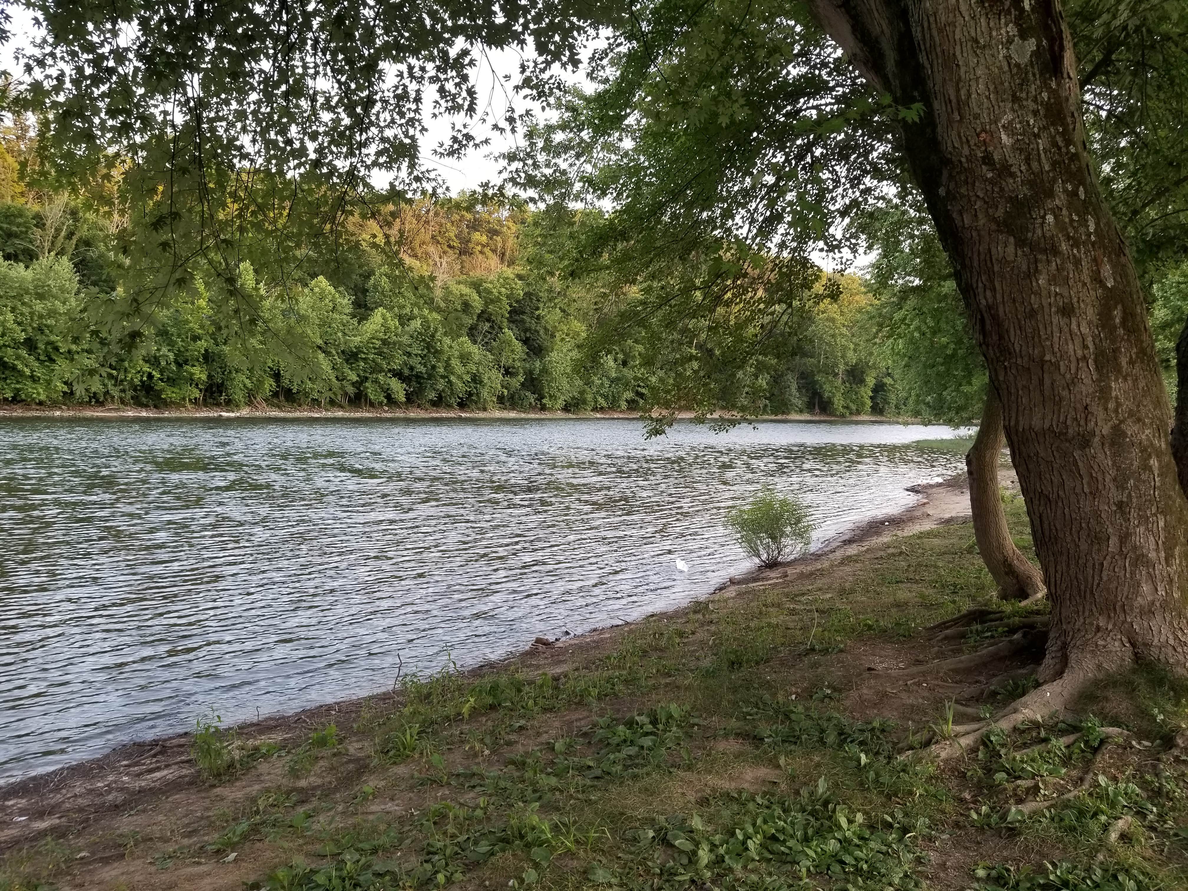 Camper-submitted photo at Buttonwood Campground near Lemont, PA