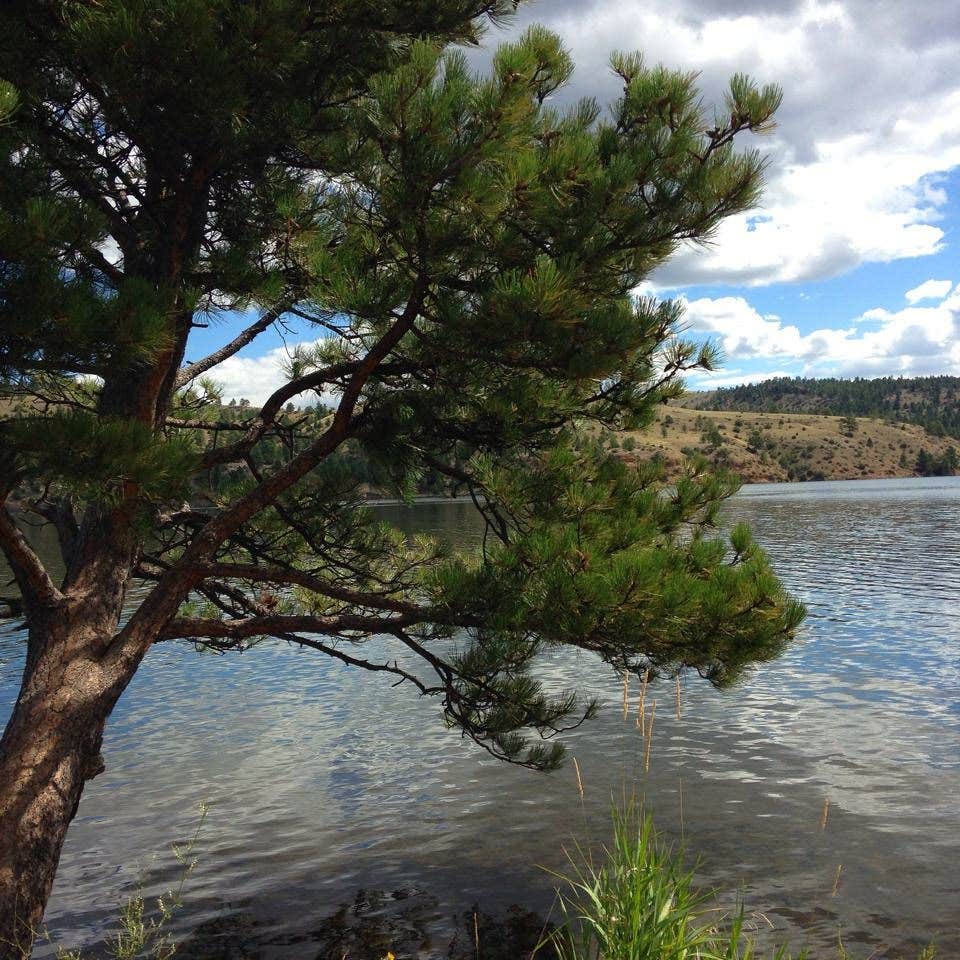 Camper submitted image from Black Sandy State Park Campground - 2
