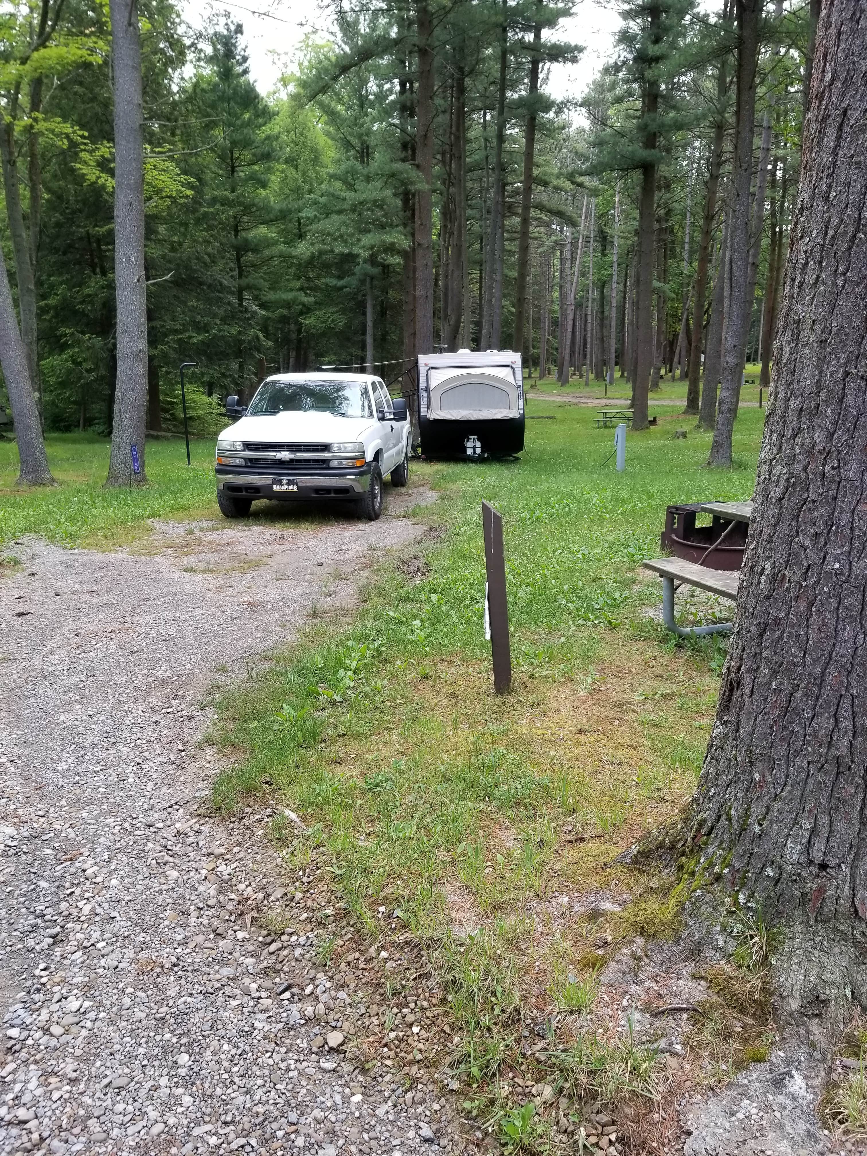Camper-submitted photo at Cook Forest State Park Campground & Cabins in Pennsylvania
