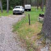 Review photo of Cook Forest State Park Campground by Mark S., July 28, 2018