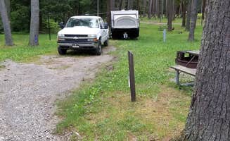 Mark S.'s photo of rv camping at Cook Forest State Park Campground & Cabins near DuBois, PA