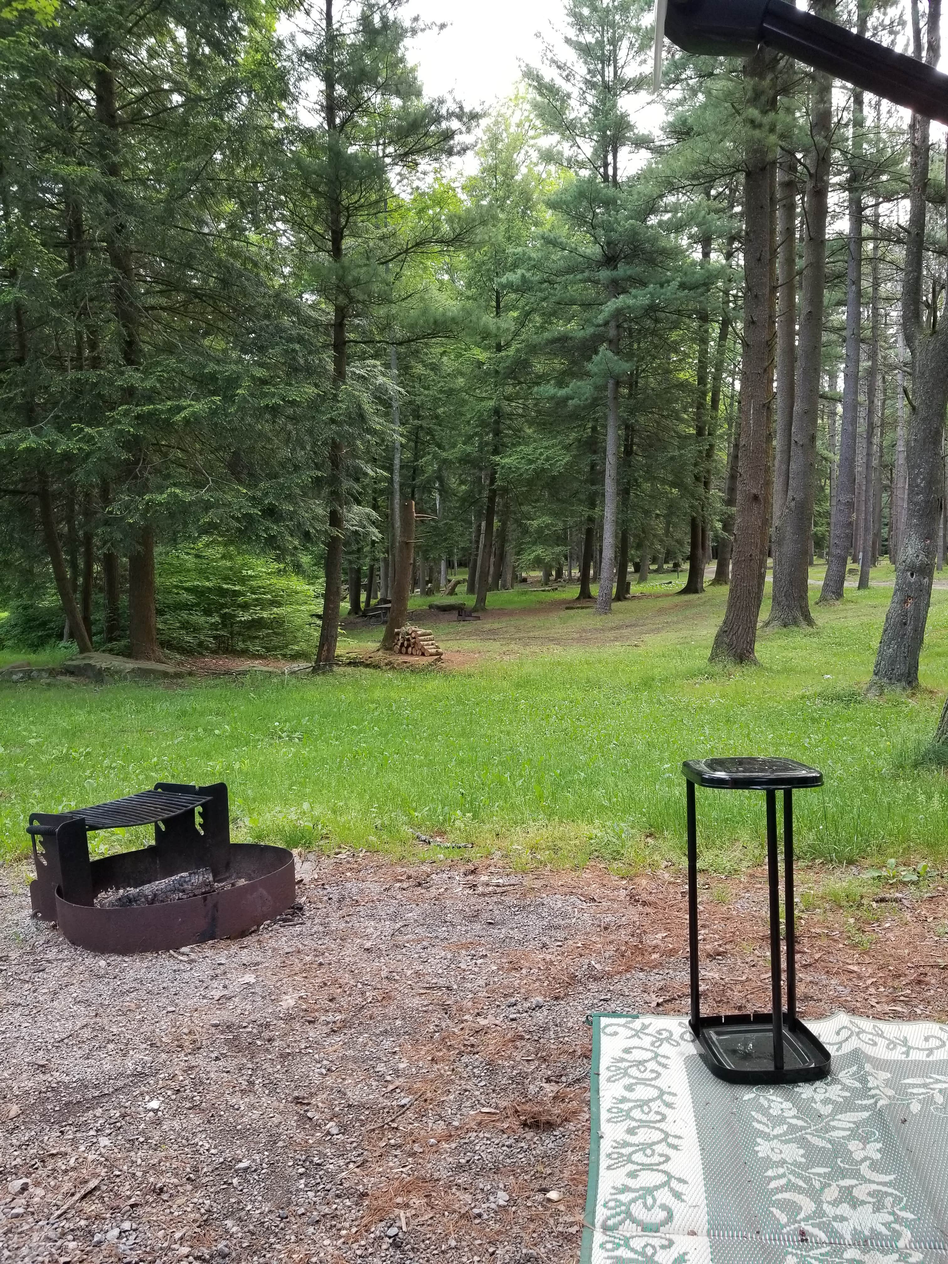 Cook Forest State Park Campground & Cabins