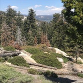 Review photo of Azalea Campground — Kings Canyon National Park by Tricia F., July 28, 2018