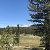 Review photo of Tuolumne Meadows Campground — Yosemite National Park by Tricia F., July 28, 2018