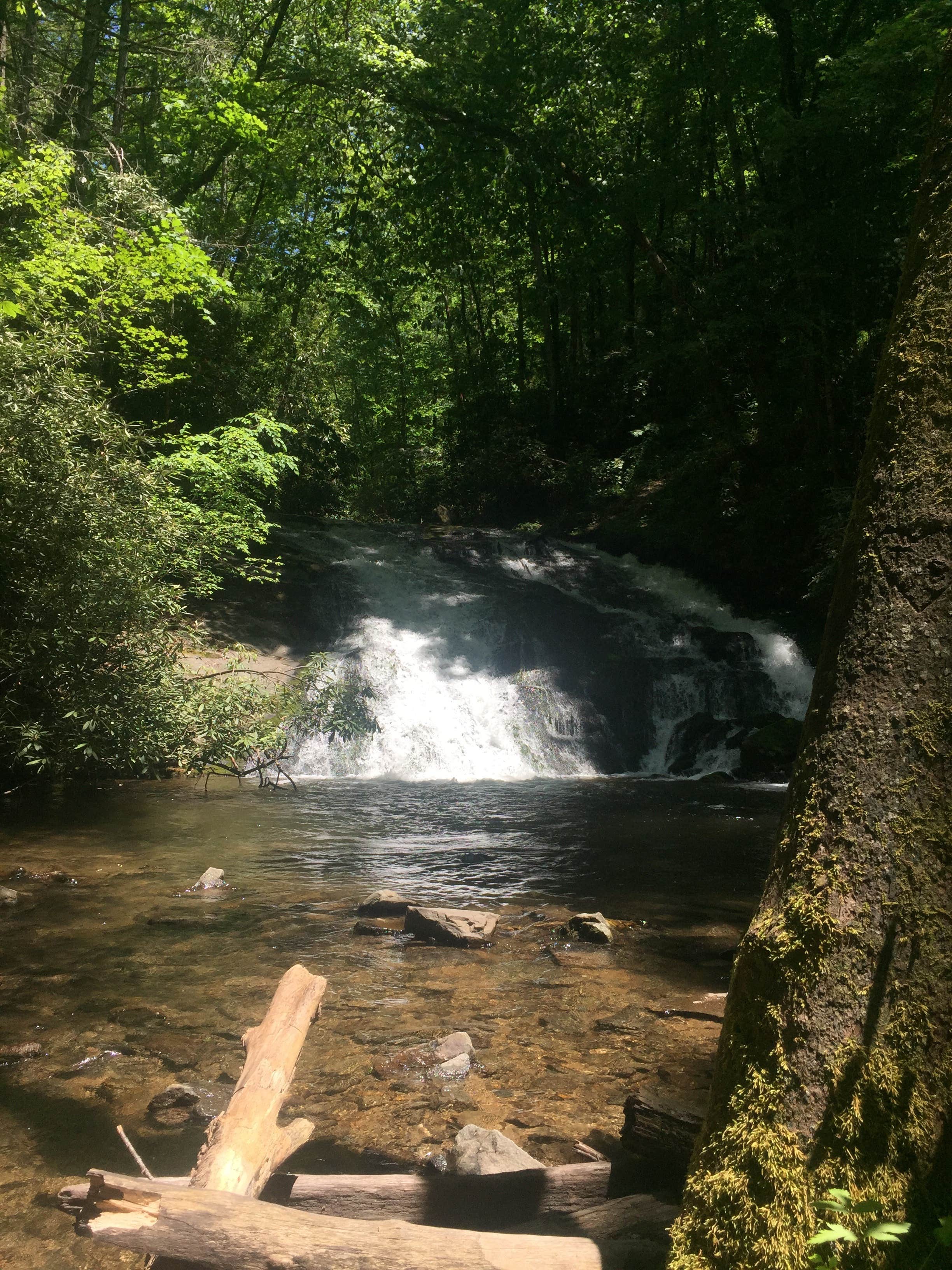 Deep Creek Campground The Dyrt