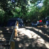 Review photo of Northend Campground — Moran State Park by Stephen R., July 28, 2018