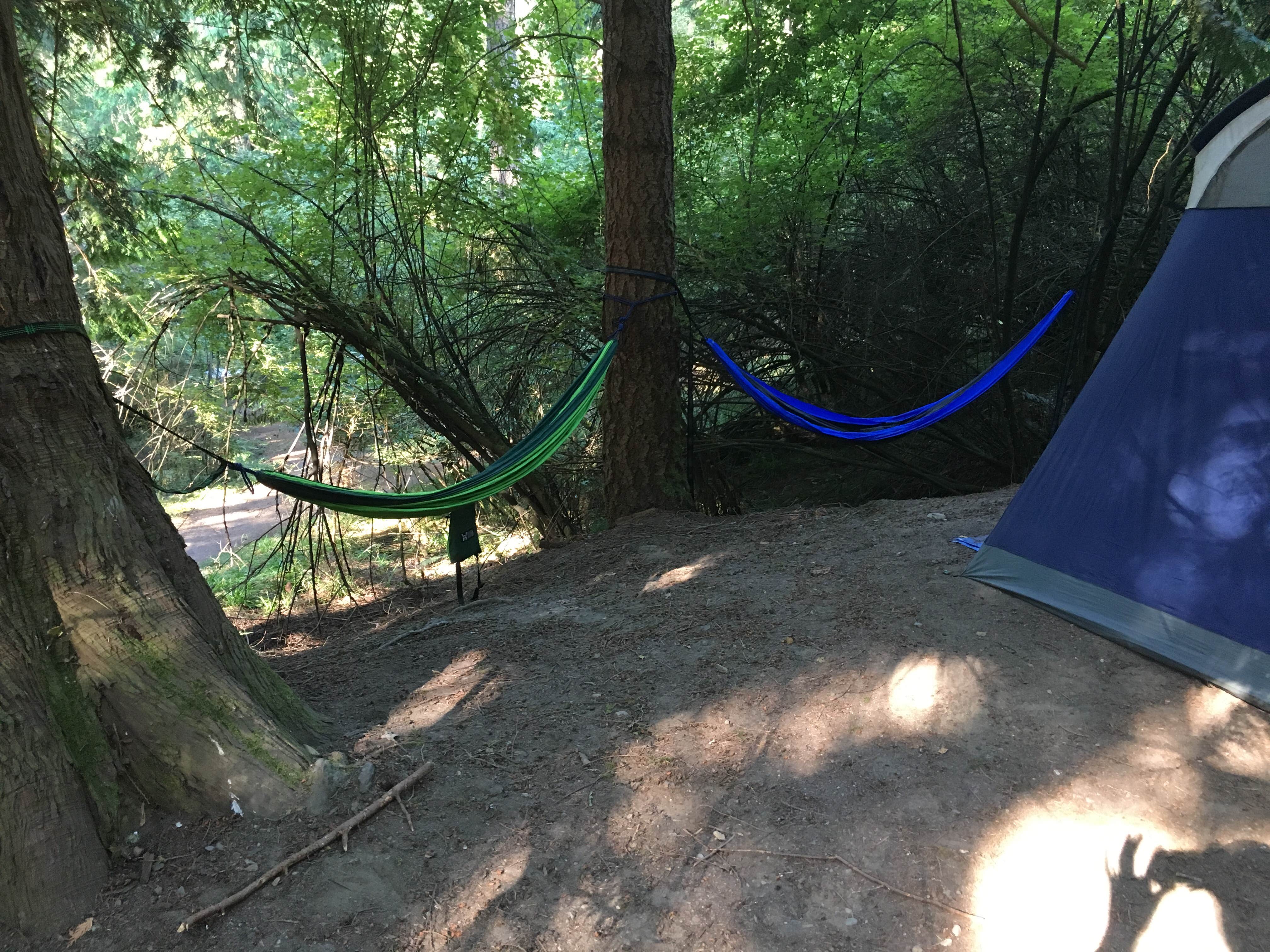 Camper submitted image from Northend Campground — Moran State Park - 5