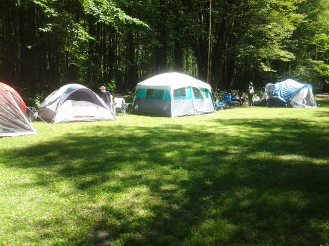 Camper submitted image from Evergreen Park Campground - 2
