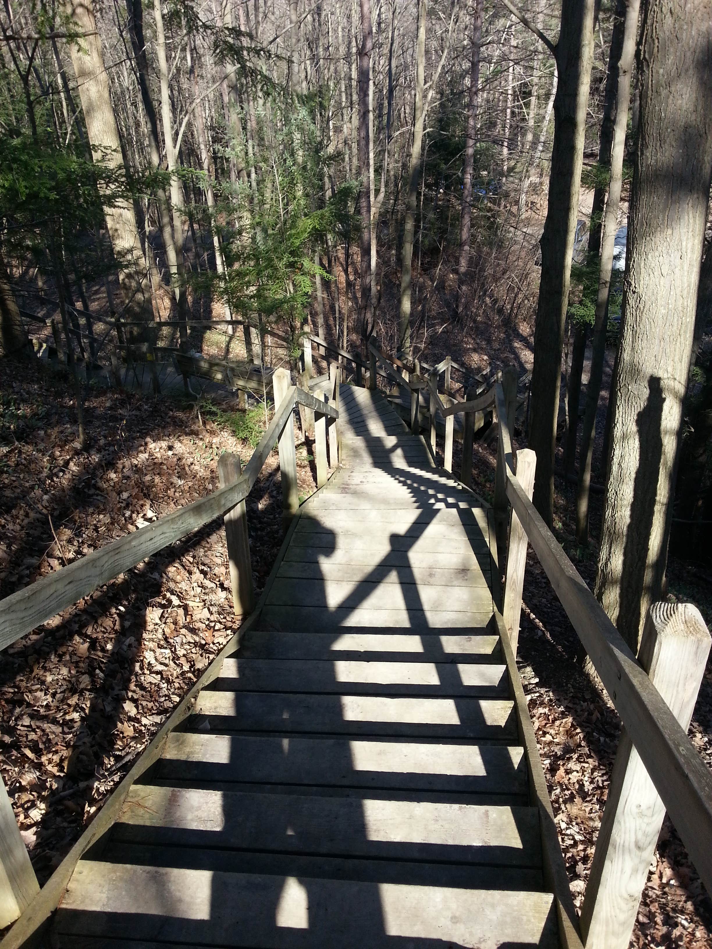Camper submitted image from Forester Park Campground - 2