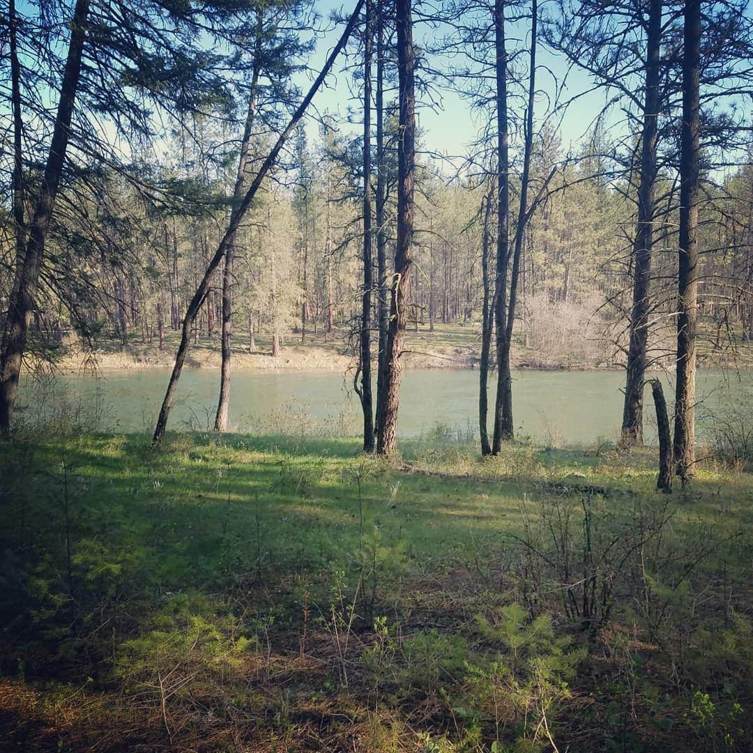 Camper-submitted photo at Bowl and Pitcher Campground — Riverside State Park near Spokane Valley, WA