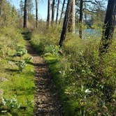 Review photo of Bowl and Pitcher Campground — Riverside State Park by Jen B., July 28, 2018