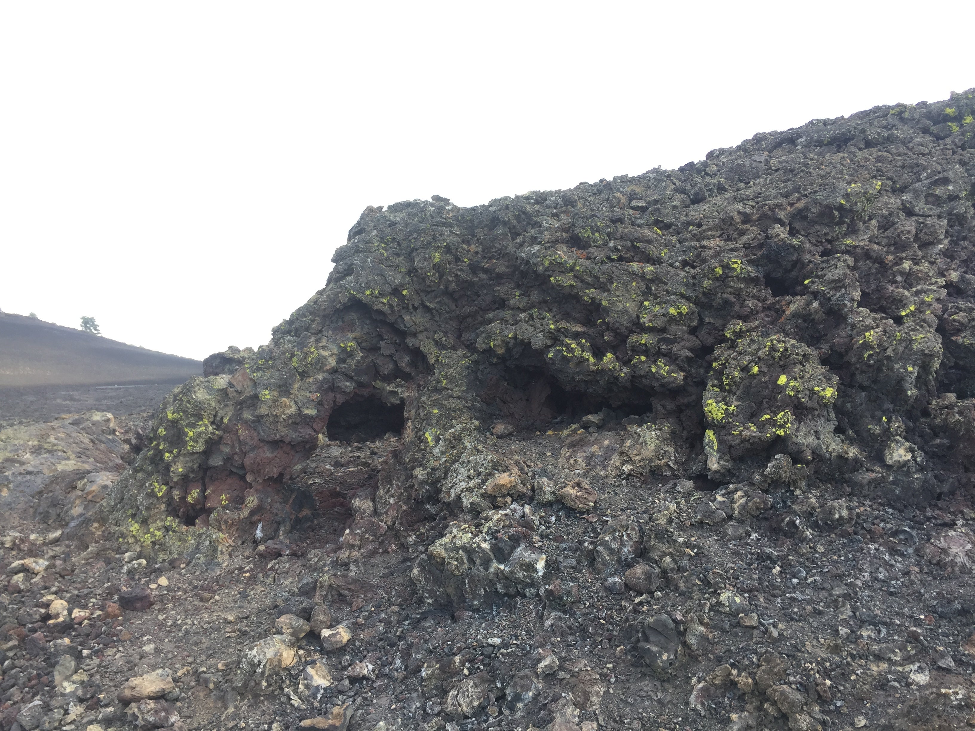 Camper submitted image from Craters of the Moon-Arco KOA - 2