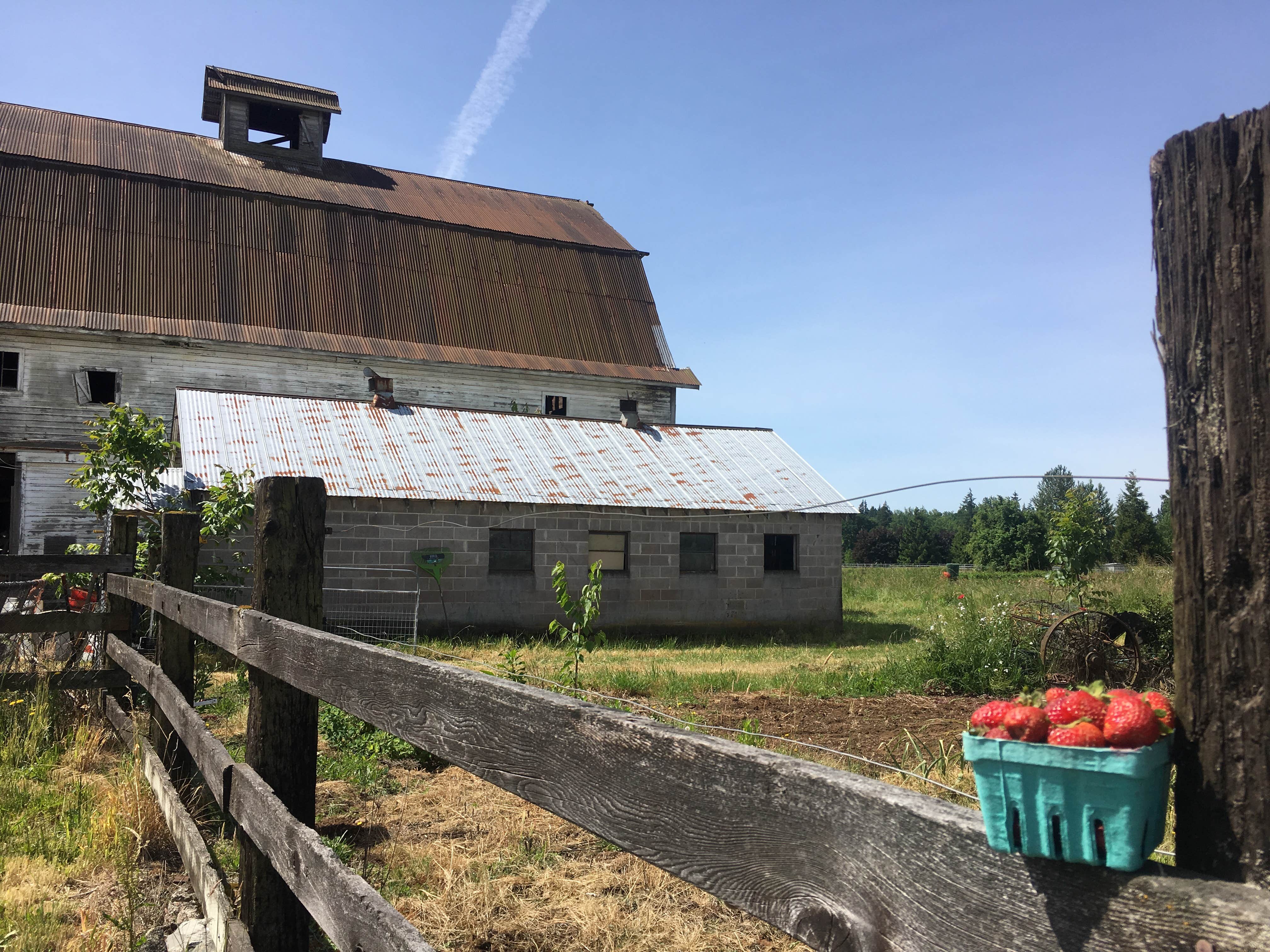 Camper-submitted photo at Big Fir Campground & RV Park near Woodland, WA
