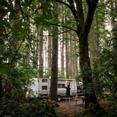 Review photo of Big Fir Campground & RV Park by Esther D., July 28, 2018