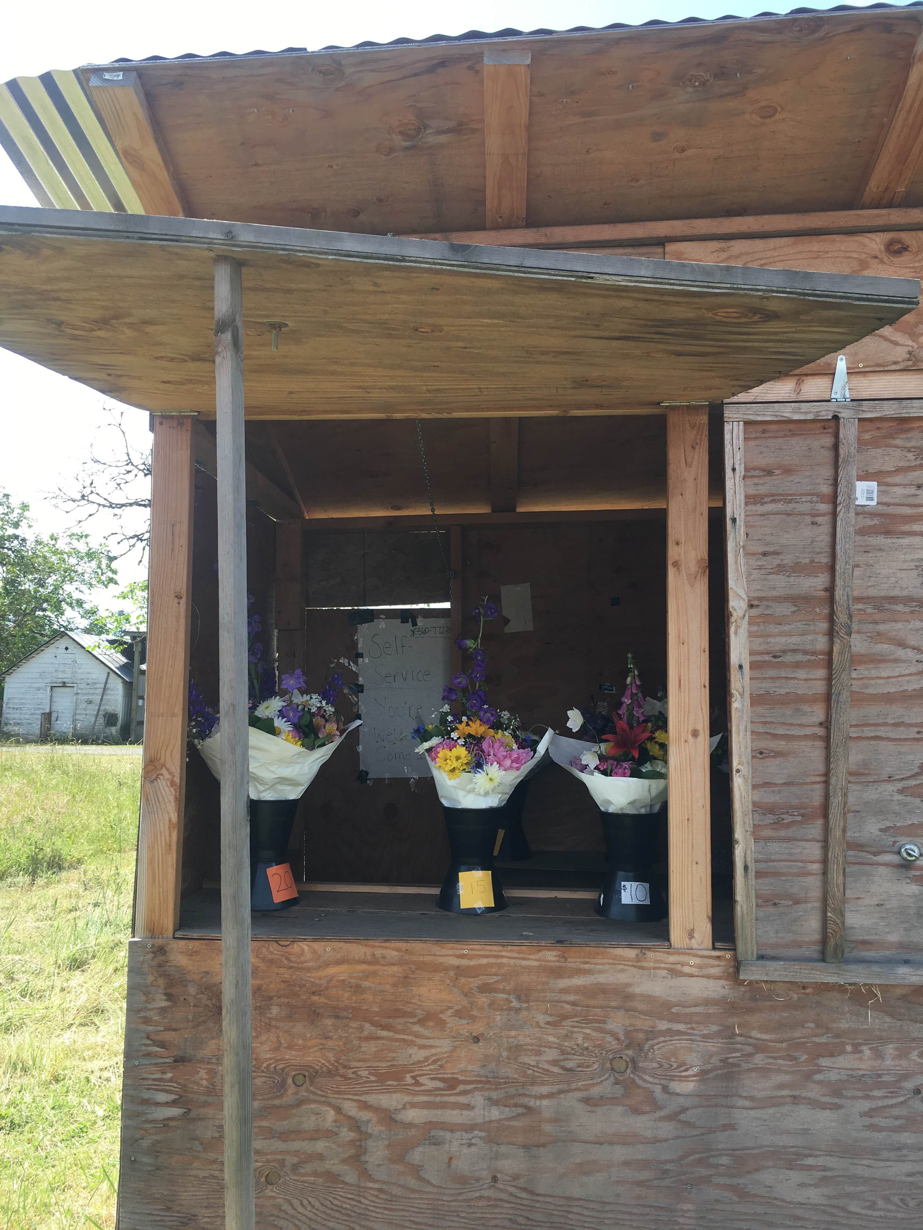 Camping near 99 RV Park: Big Fir Campground & RV Park, Ridgefield, Washington