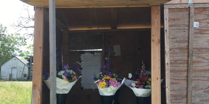 Camper submitted image from Big Fir Campground & RV Park