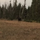 Review photo of Yellowstone Park-Mountainside KOA by Jen B., July 28, 2018
