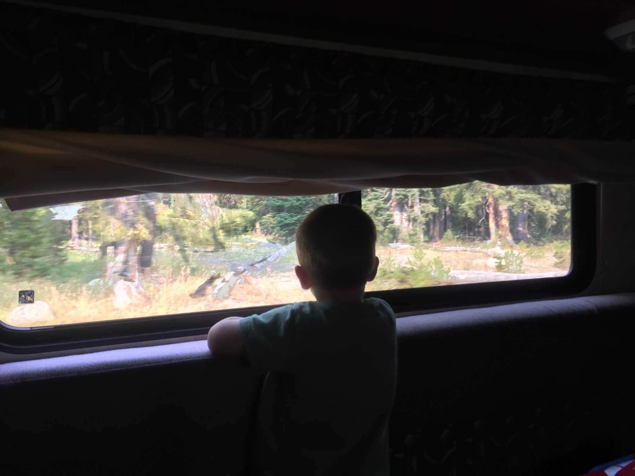 Camper-submitted photo at Yellowstone Park-Mountainside KOA near Yellowstone National Park