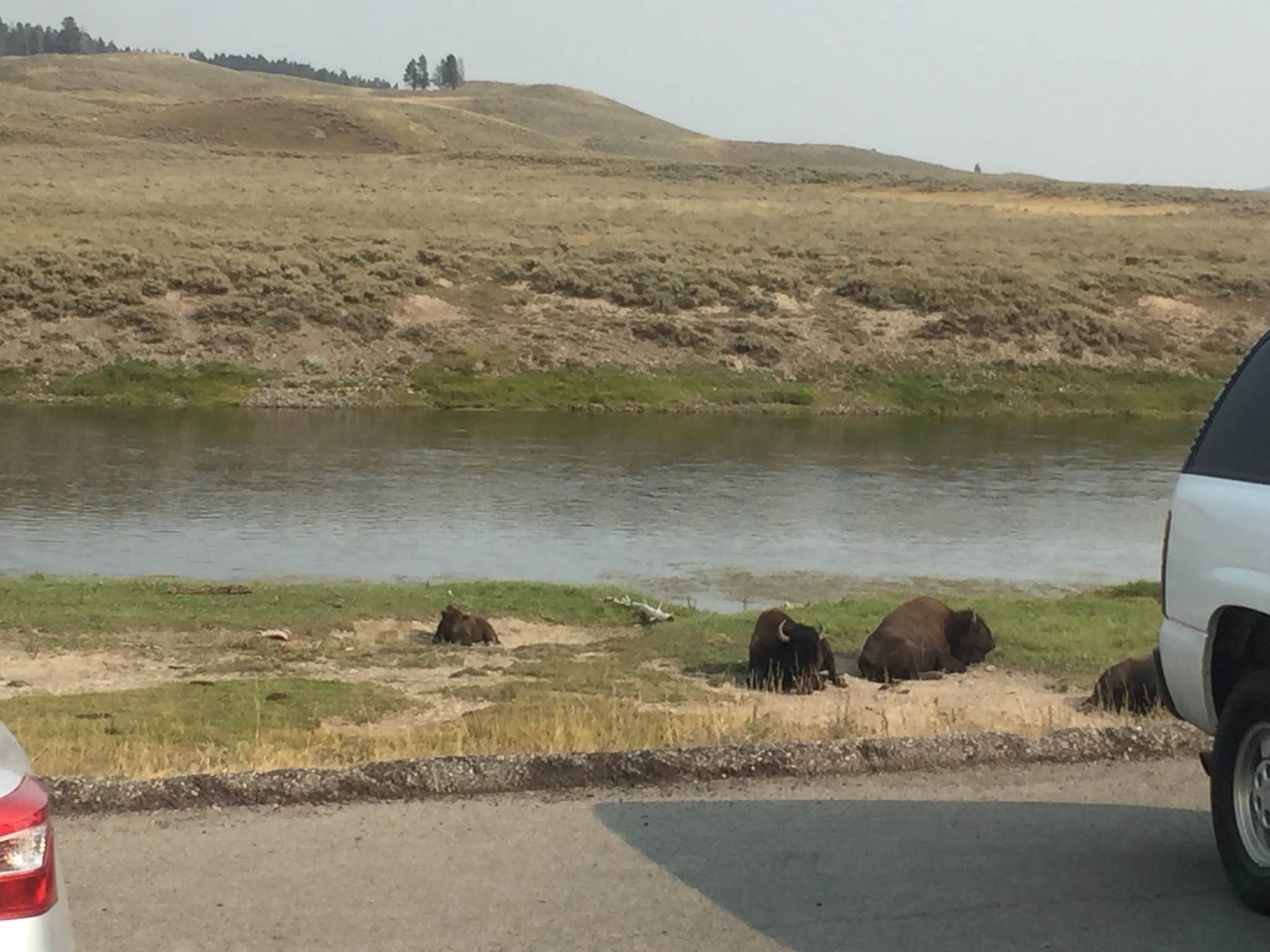 Camper-submitted photo at Yellowstone Park-Mountainside KOA near Yellowstone National Park