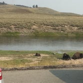 Review photo of Yellowstone Park-Mountainside KOA by Jen B., July 28, 2018