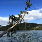 Review photo of Black Sandy State Park Campground by Carla S., July 28, 2016