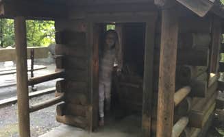 Judy H.'s photo of camping with pets at Gettysburg near Chambersburg, PA