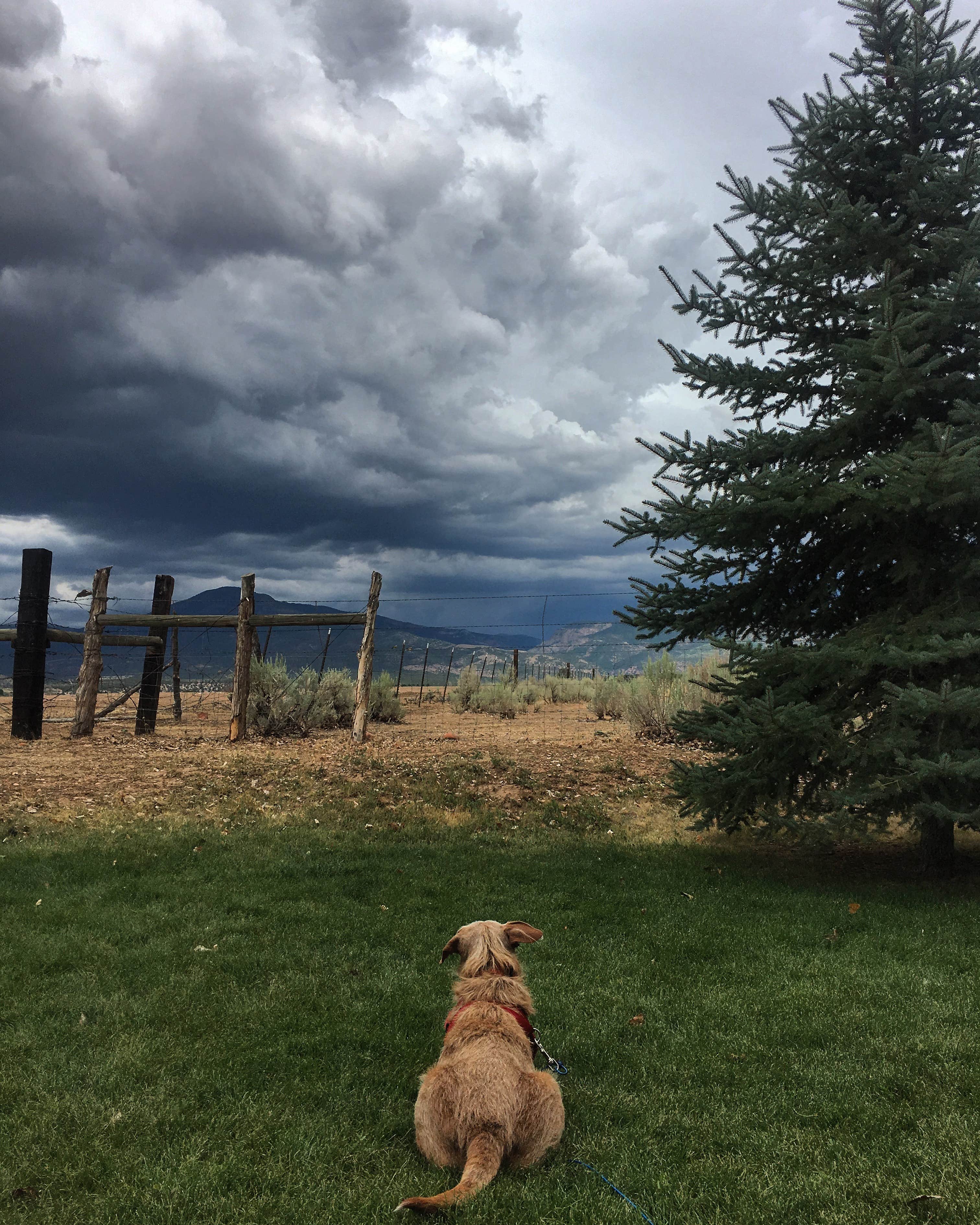 Camper-submitted photo at Fillmore KOA near Hinckley, UT