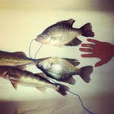 Review photo of Fresno Tailwater by Lindsay B., June 10, 2015