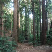 Review photo of Pfeiffer Big Sur State Park Campground by Lisa R., July 28, 2018