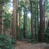 Review photo of Pfeiffer Big Sur State Park Campground by Lisa R., July 28, 2018