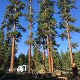 Review photo of Idlewild Campground - Malheur by Rhonda S., July 28, 2018