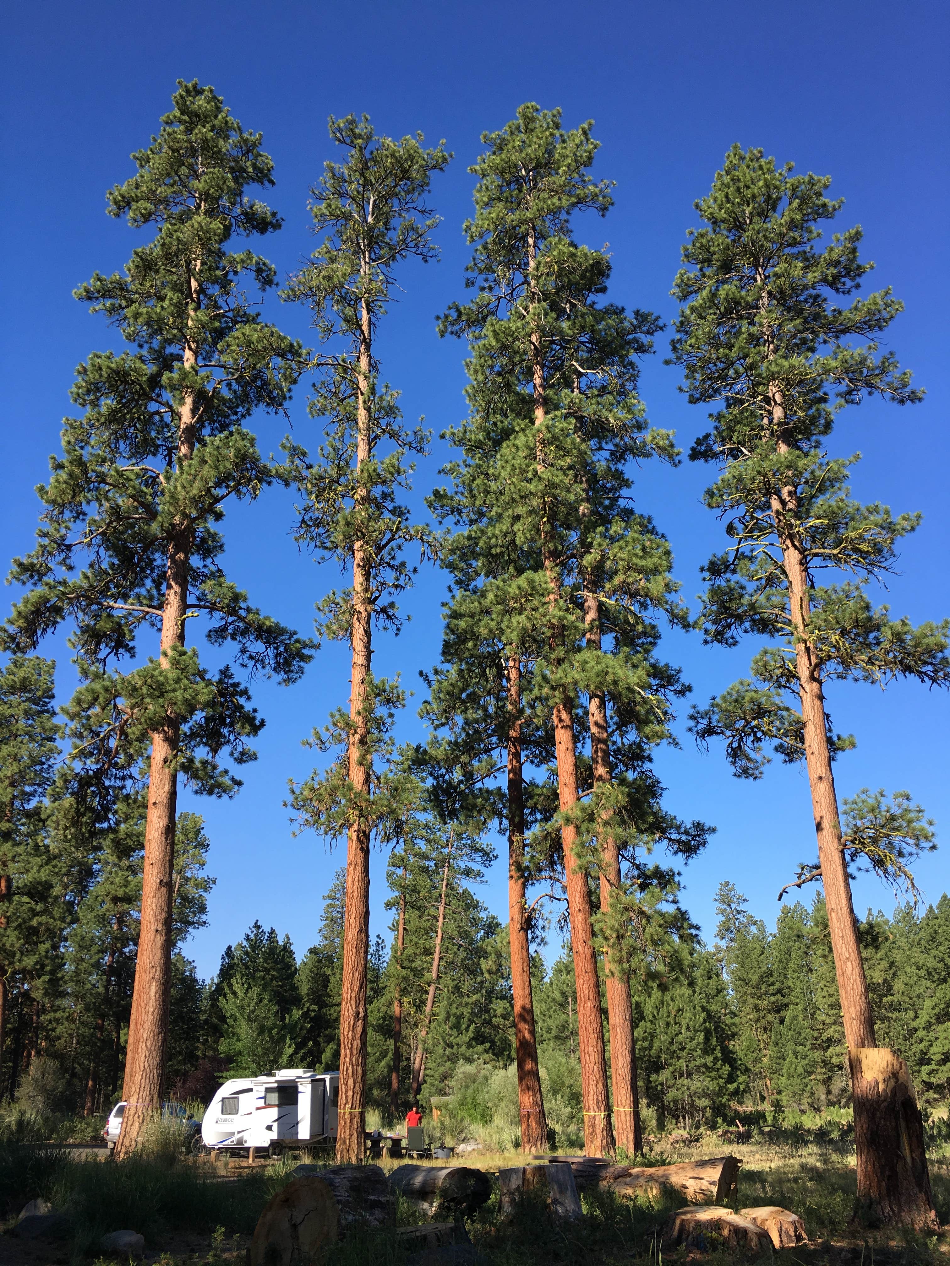 Camper submitted image from Idlewild Campground - Malheur - 2