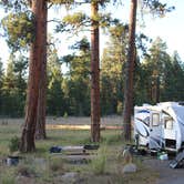 Review photo of Idlewild Campground - Malheur by Rhonda S., July 28, 2018