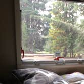 Review photo of Mazama Village Campground — Crater Lake National Park by Rhonda S., July 28, 2018