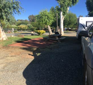 Camper-submitted photo from Napa Valley Expo RV Park