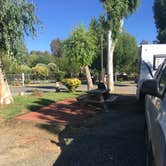 Review photo of Vineyard RV Park by Rhonda S., July 28, 2018