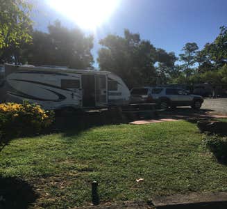 Camper-submitted photo from Napa Valley Expo RV Park
