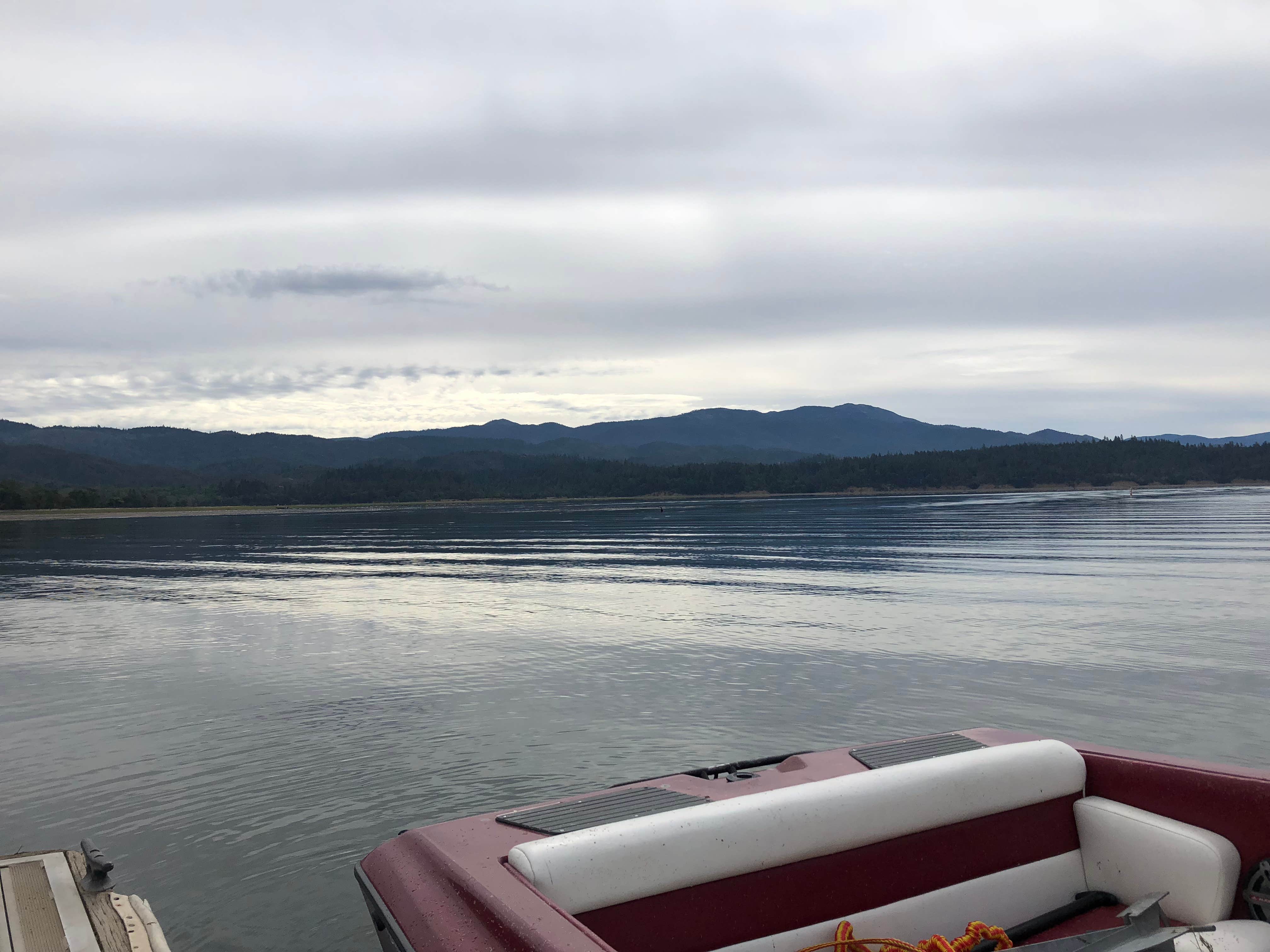 Camper-submitted photo at Navy Camp near Mendocino National Forest