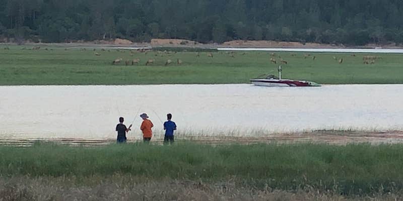 Camper submitted image from Navy Camp