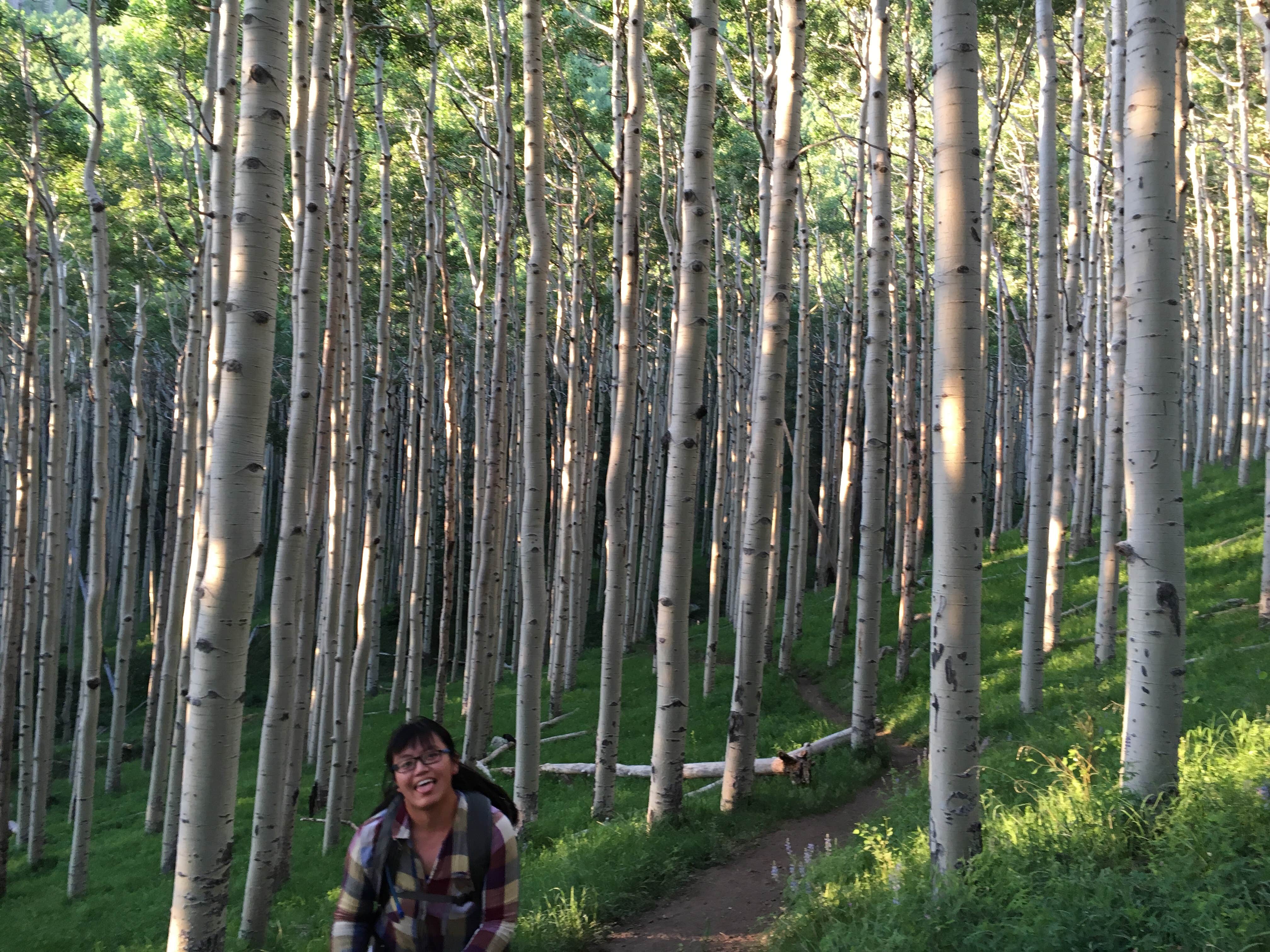 Camper-submitted photo at Lockett Meadow Campground near Flagstaff, AZ
